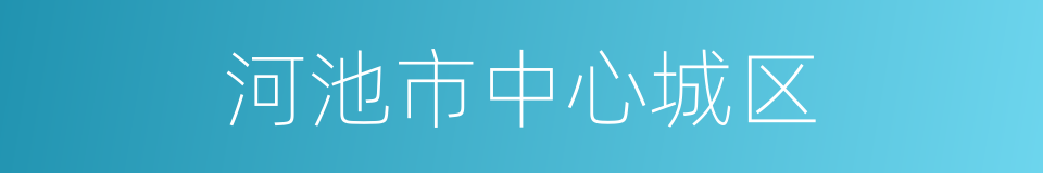 河池市中心城区的同义词