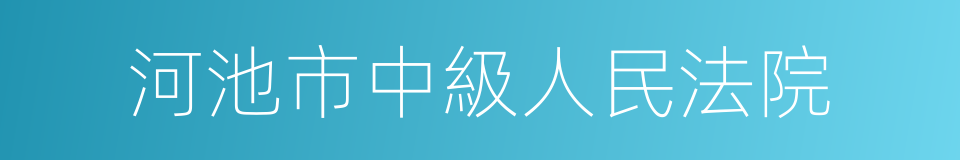 河池市中級人民法院的同義詞