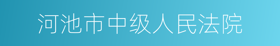 河池市中级人民法院的同义词