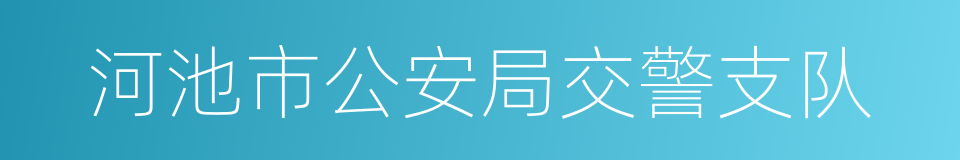 河池市公安局交警支队的同义词