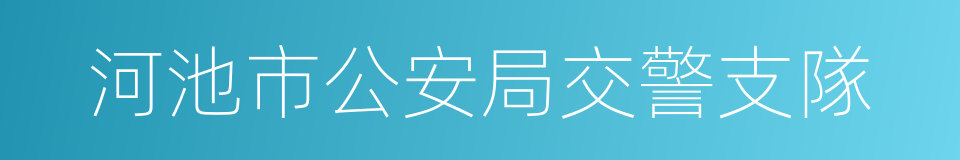 河池市公安局交警支隊的同義詞