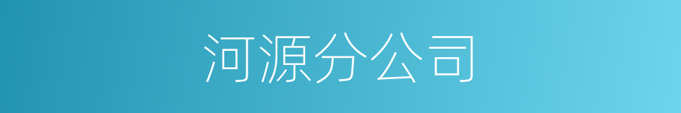 河源分公司的同义词