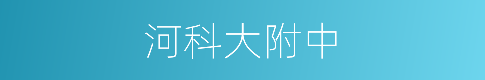 河科大附中的同义词