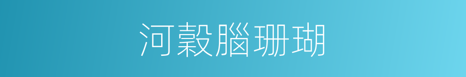 河穀腦珊瑚的同義詞