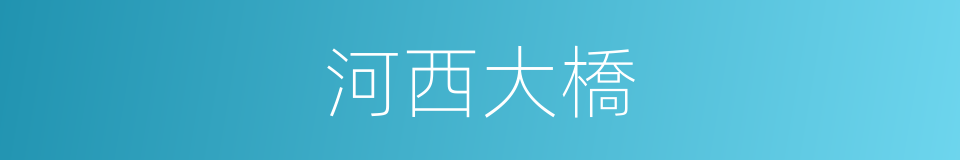 河西大橋的同義詞