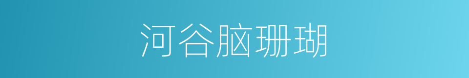 河谷脑珊瑚的同义词