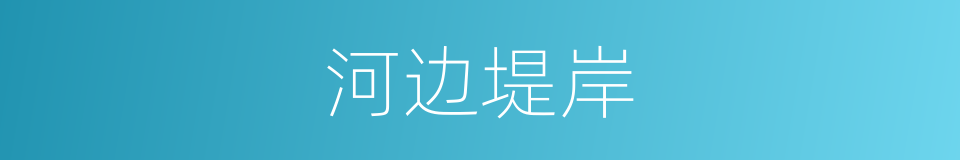 河边堤岸的同义词