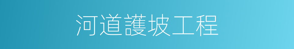 河道護坡工程的同義詞