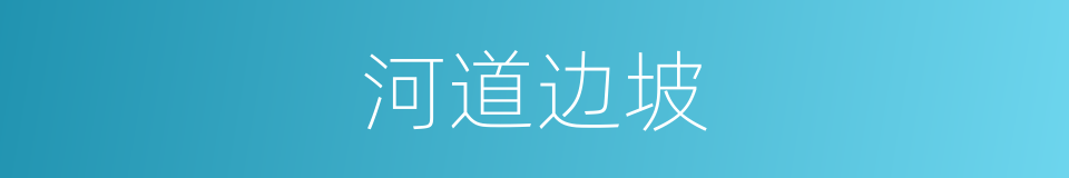 河道边坡的同义词