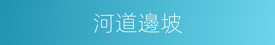 河道邊坡的同義詞