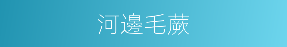 河邊毛蕨的同義詞