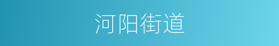 河阳街道的同义词