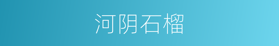 河阴石榴的同义词