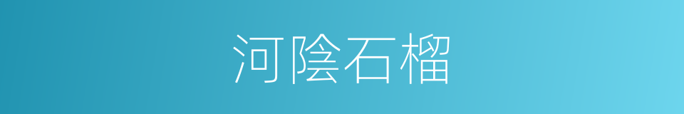 河陰石榴的同義詞