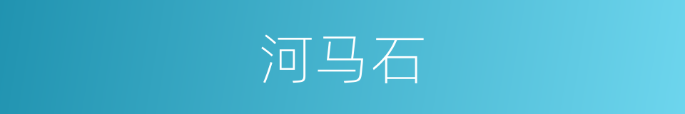 河马石的同义词