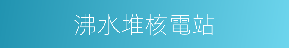 沸水堆核電站的同義詞