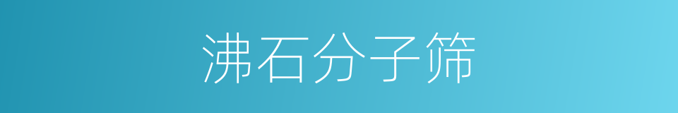 沸石分子筛的同义词