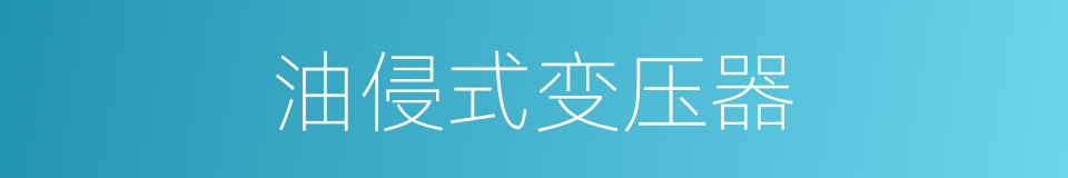 油侵式变压器的同义词