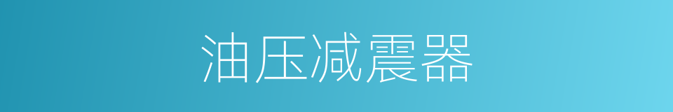 油压减震器的同义词