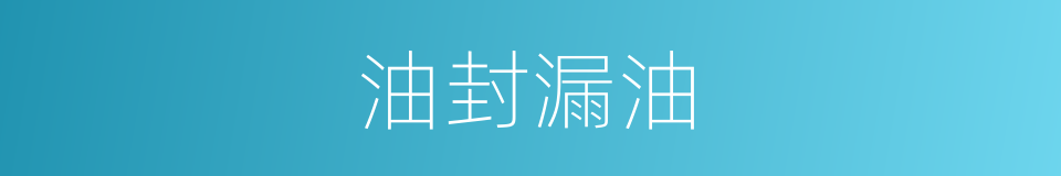 油封漏油的同义词