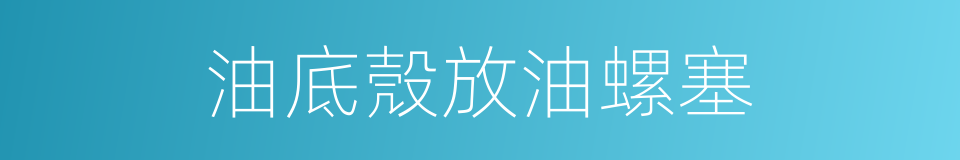 油底殼放油螺塞的同義詞