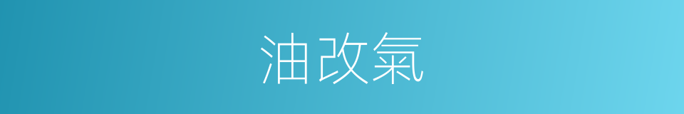 油改氣的同義詞