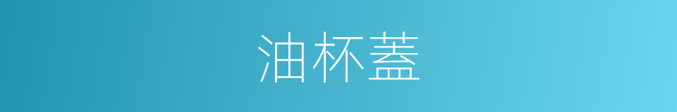 油杯蓋的同義詞