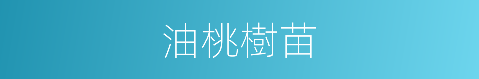 油桃樹苗的同義詞