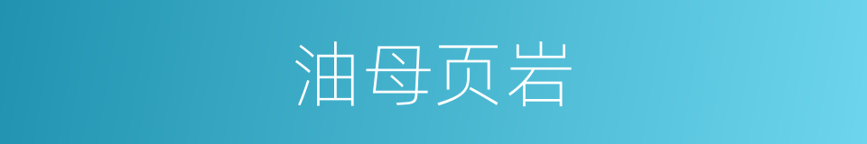 油母页岩的同义词