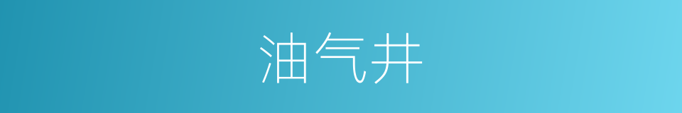 油气井的同义词