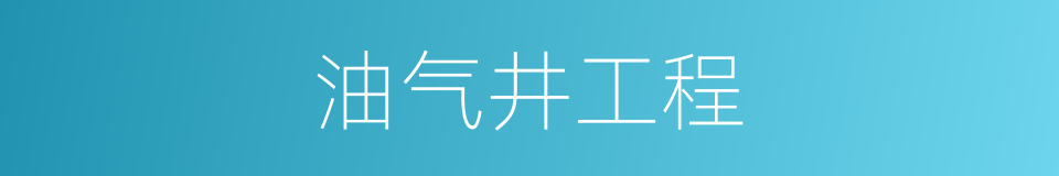 油气井工程的同义词