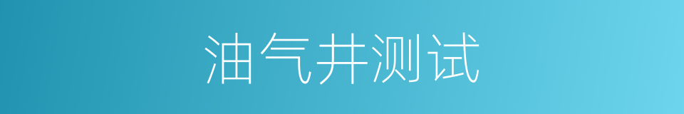 油气井测试的同义词