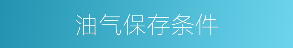 油气保存条件的同义词
