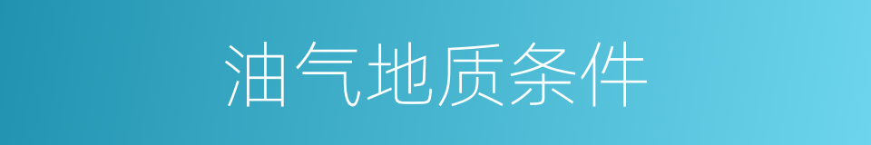 油气地质条件的同义词
