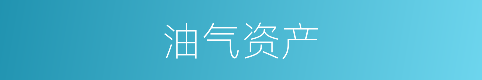 油气资产的同义词