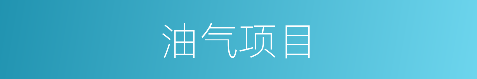油气项目的同义词