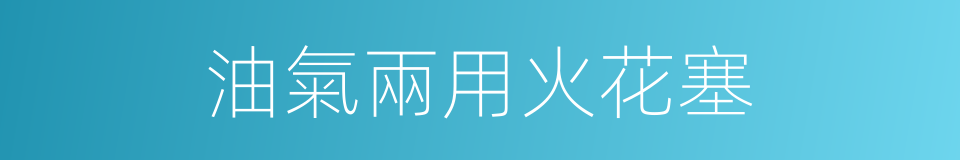油氣兩用火花塞的同義詞