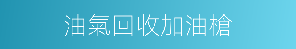 油氣回收加油槍的同義詞