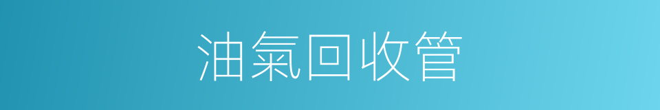油氣回收管的同義詞