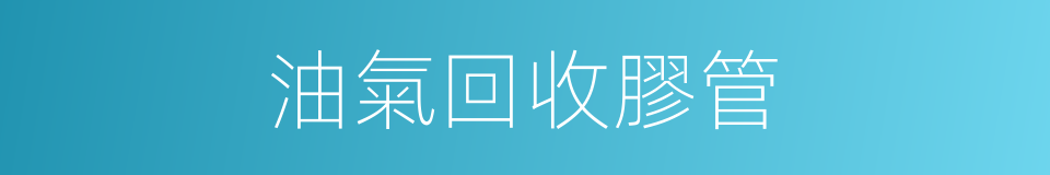 油氣回收膠管的同義詞