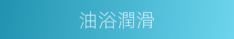 油浴潤滑的同義詞