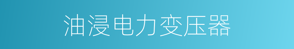 油浸电力变压器的意思