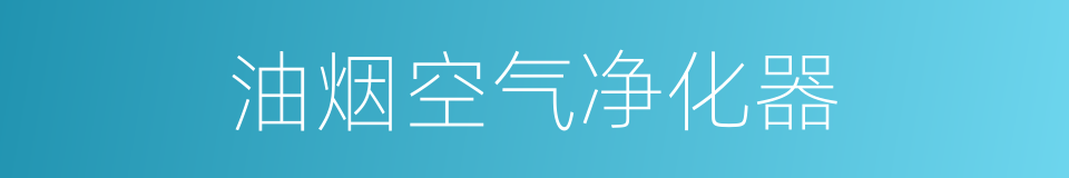 油烟空气净化器的同义词
