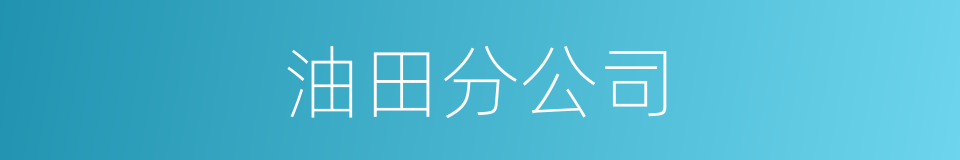 油田分公司的同义词