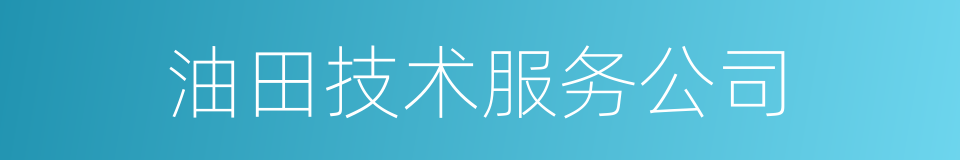 油田技术服务公司的同义词
