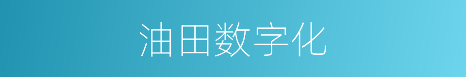 油田数字化的同义词