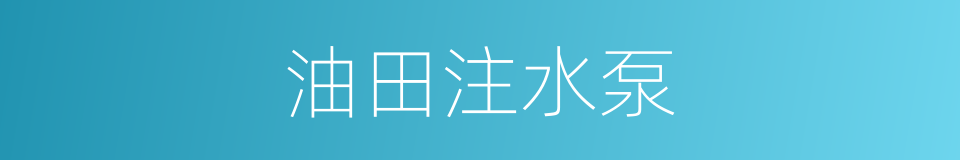 油田注水泵的同义词