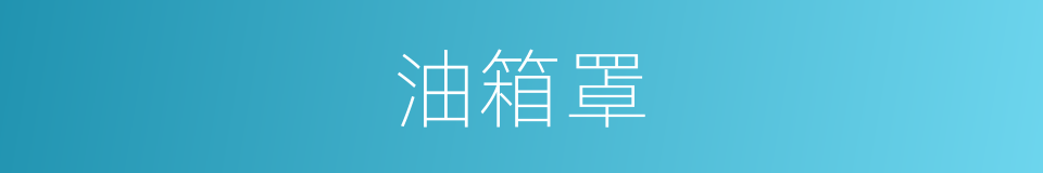 油箱罩的同义词