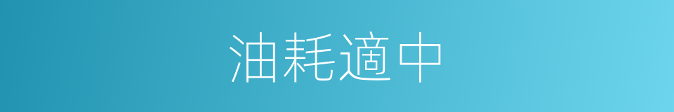 油耗適中的同義詞
