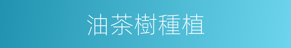 油茶樹種植的同義詞